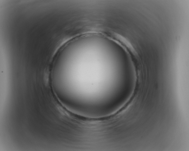 X0000114391260200910231009