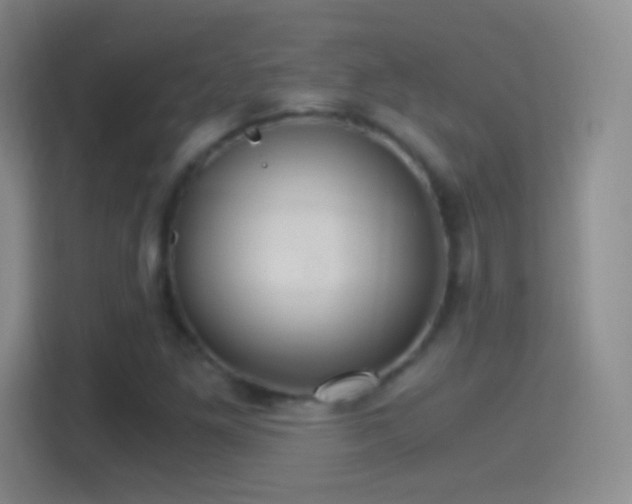 X0000114391261200910231009