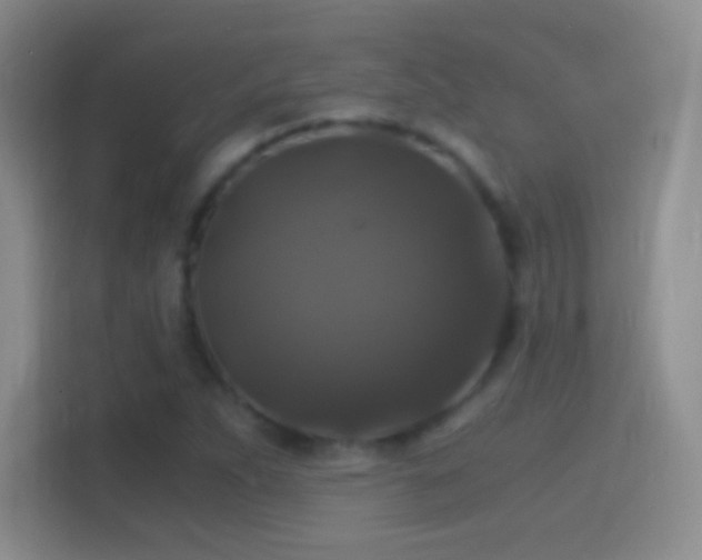 X0000114391263200910231009