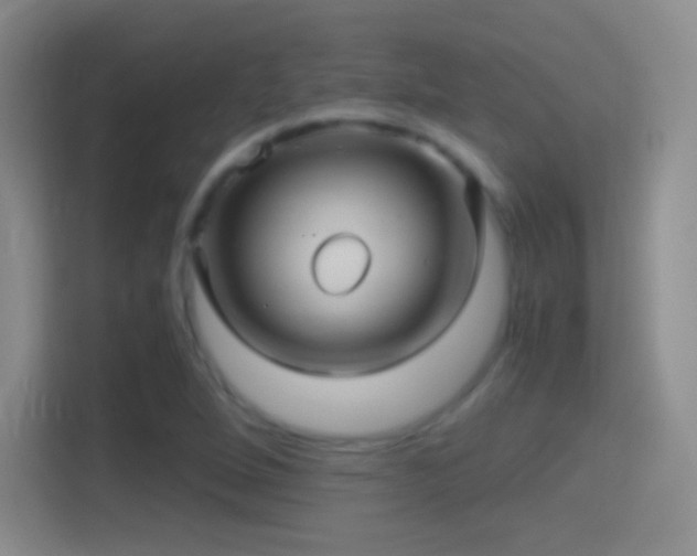 X0000114391264200910231009