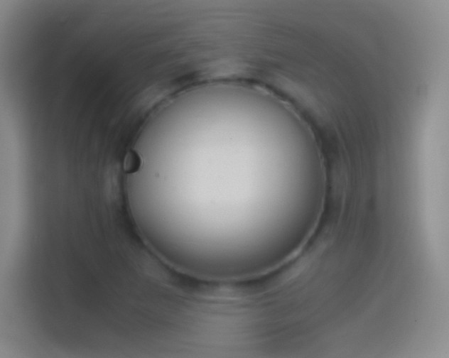 X0000114391265200910231009