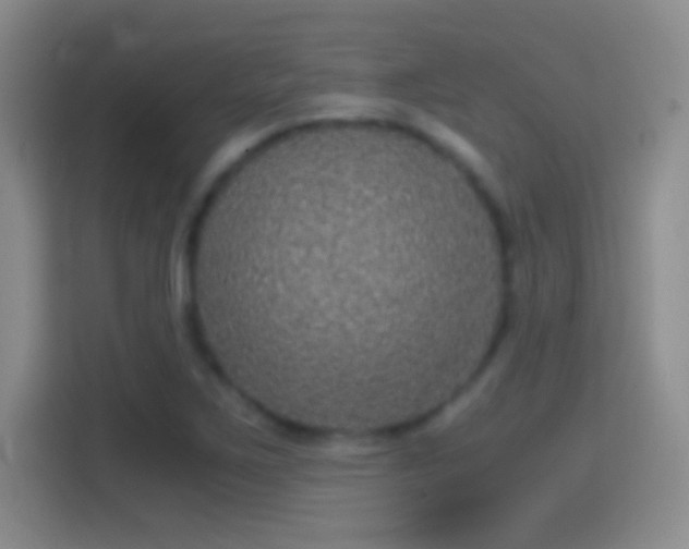 X0000114391267200910231009