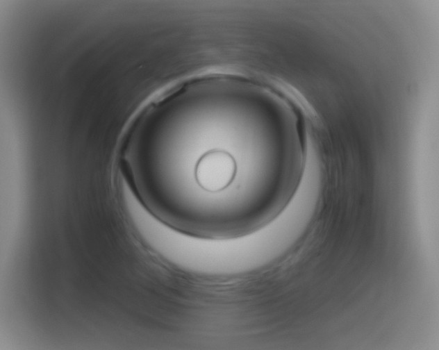 X0000114391268200910231009