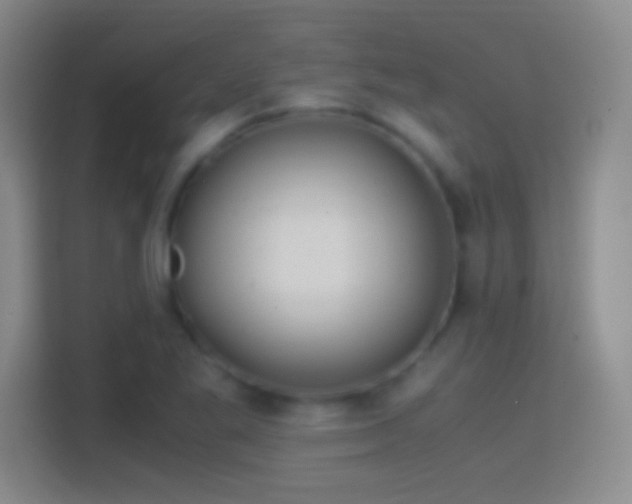 X0000114391269200910231009