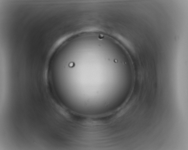 X0000114391270200910231009
