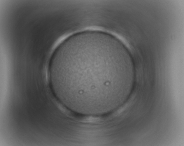 X0000114391271200910231009