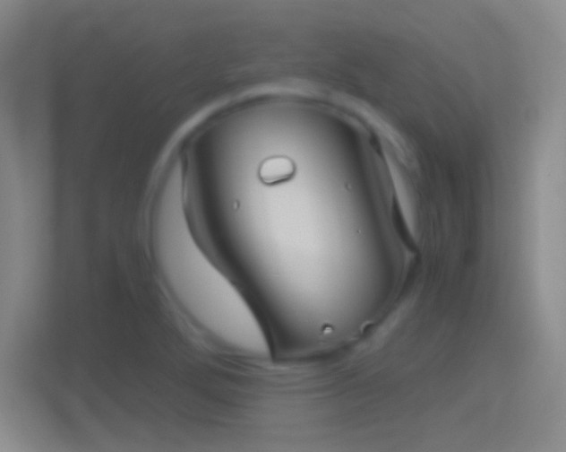 X0000114391272200910231009