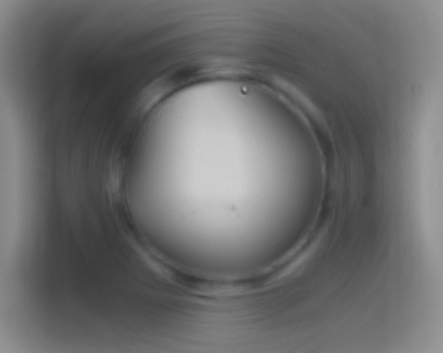 X0000114391273200910231009