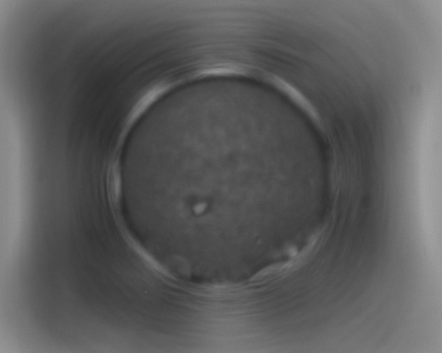 X0000114391274200910231009