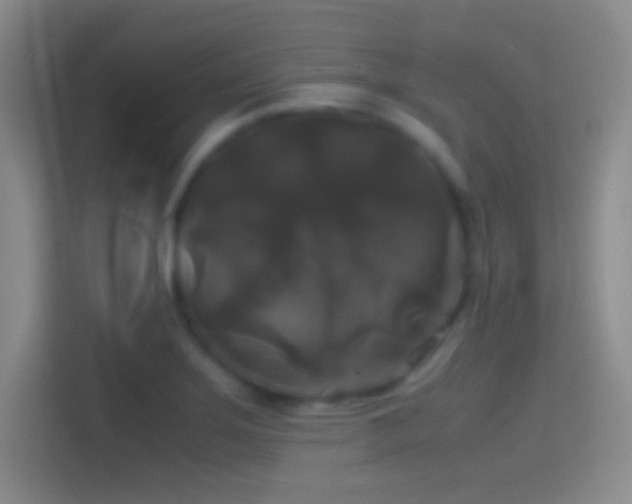X0000114391275200910231009