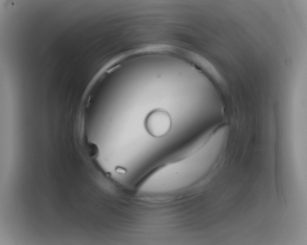 X0000114391276200910231009