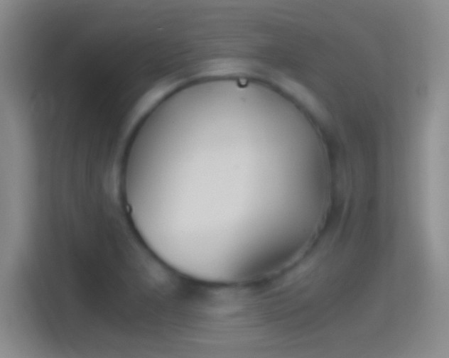 X0000114391277200910231009