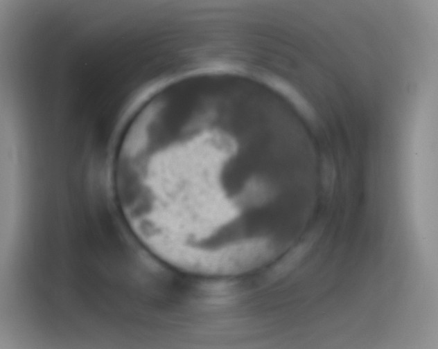 X0000114391278200910231009