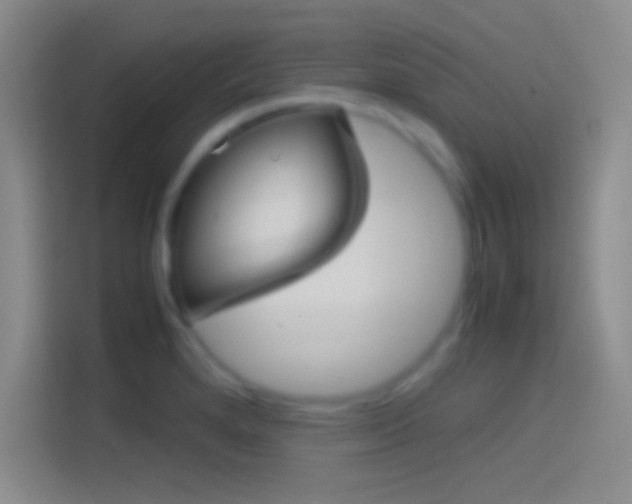 X0000114391280200910231009