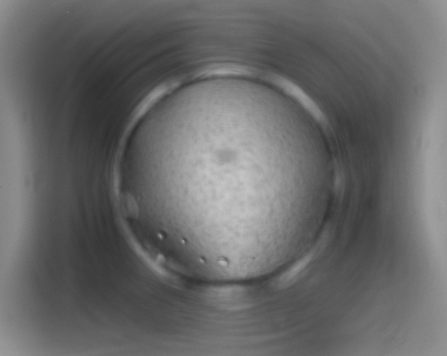 X0000114391282200910231009