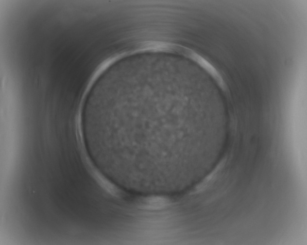 X0000114391283200910231009