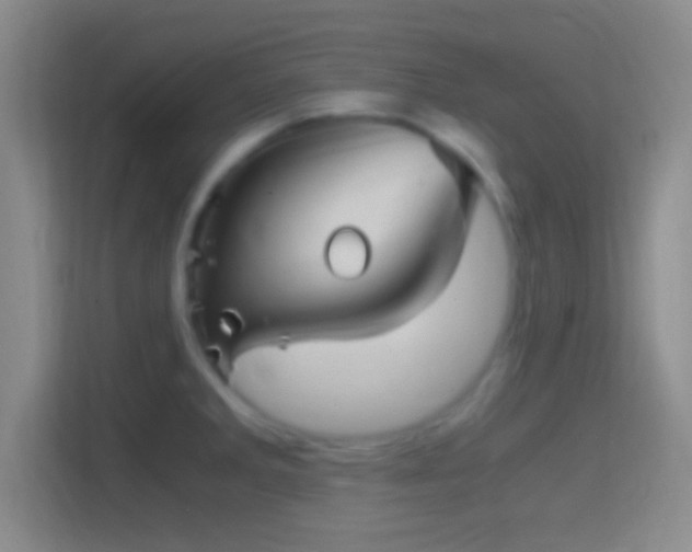 X0000114391285200910231009