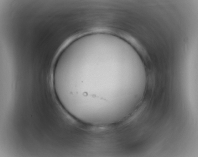 X0000114391286200910231009