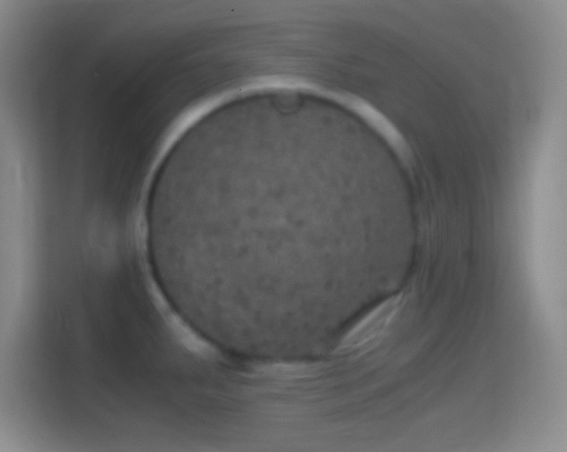X0000114391287200910231009