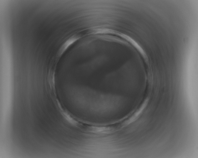 X0000114391289200910231009