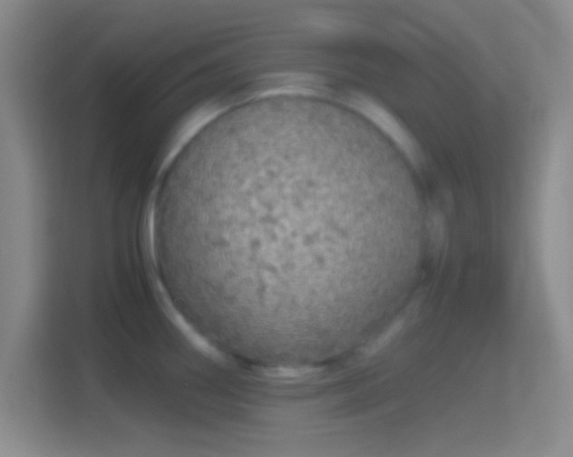 X0000114391290200910231009