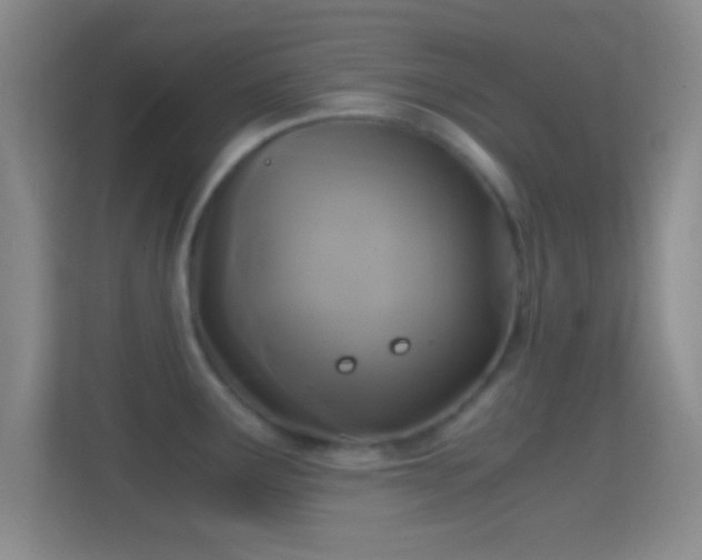 X0000114391291200910231009