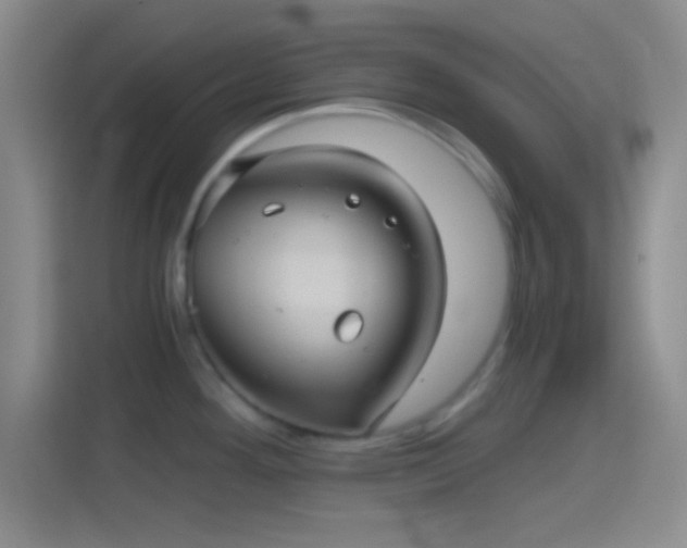 X0000114391292200910231009