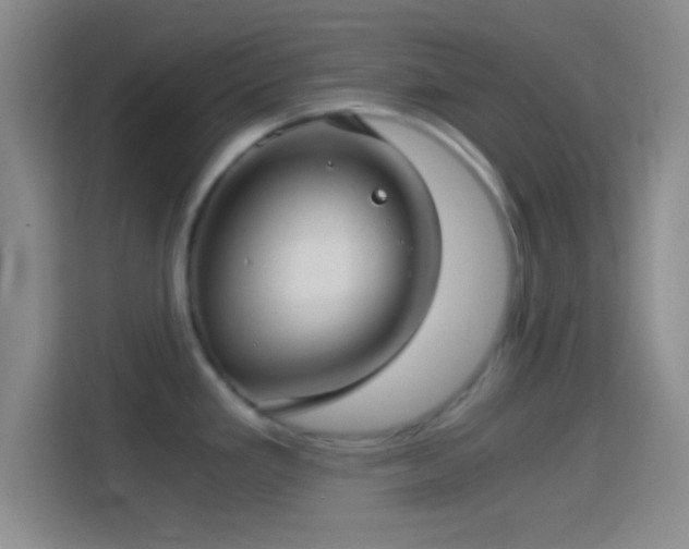 X0000114391293200910231009
