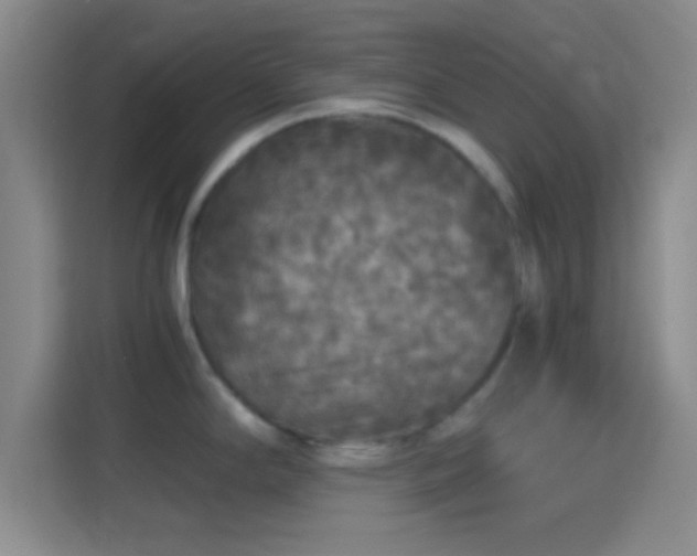 X0000114391294200910231009