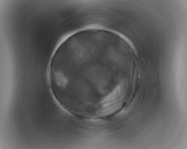 X0000114391295200910231009