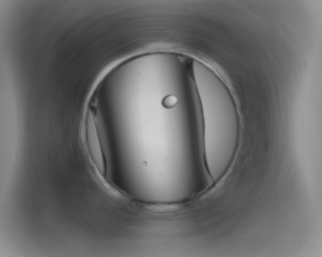 X0000114391296200910231009