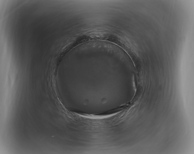 X0000114391297200910231008