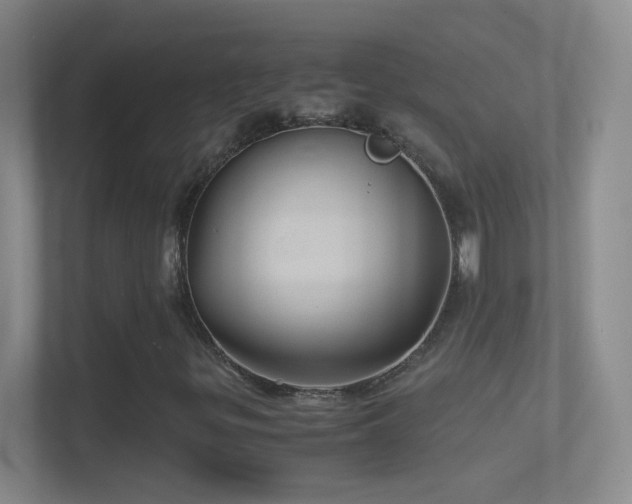 X0000114391299200910231008