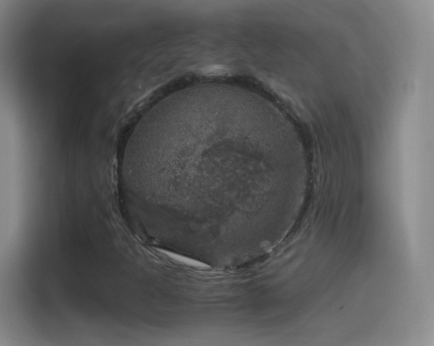 X0000114391301200910231008