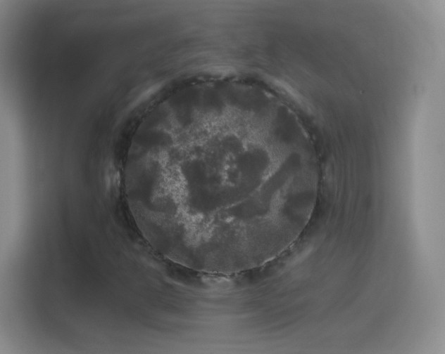 X0000114391302200910231008