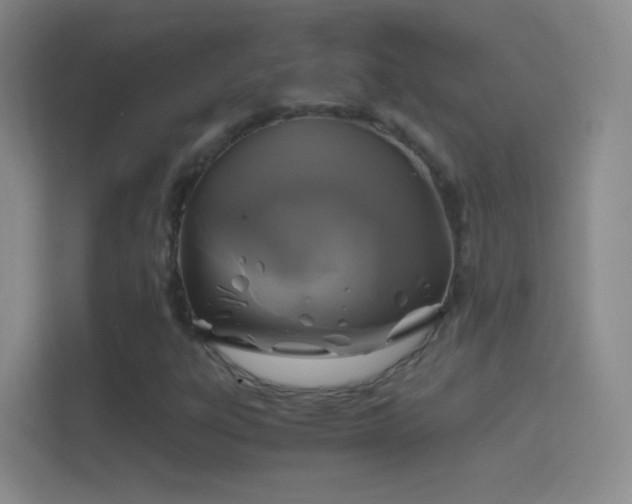 X0000114391303200910231008