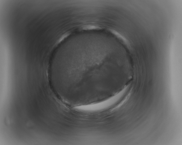 X0000114391305200910231008
