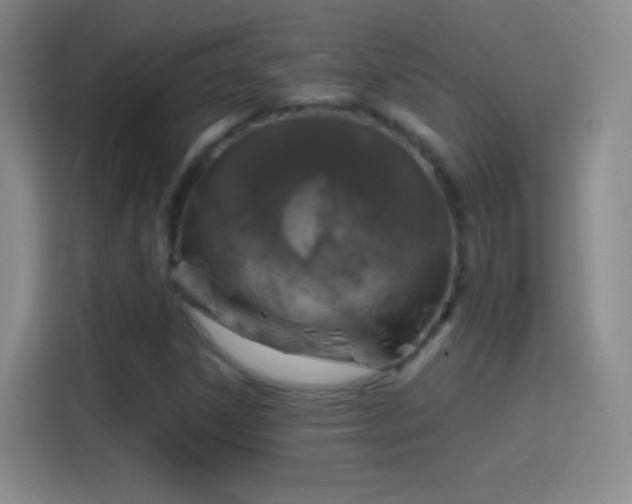 X0000114391306200910231008