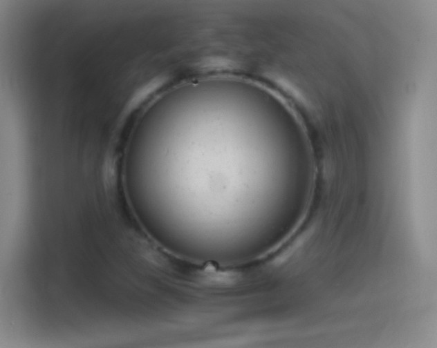 X0000114391309200910231008