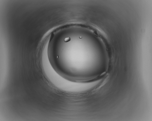 X0000114391310200910231009