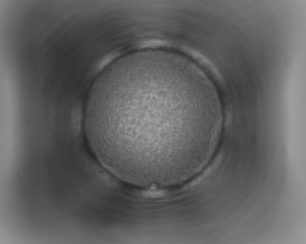 X0000114391313200910231009