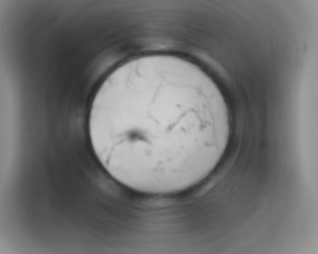 X0000114391314200910231009