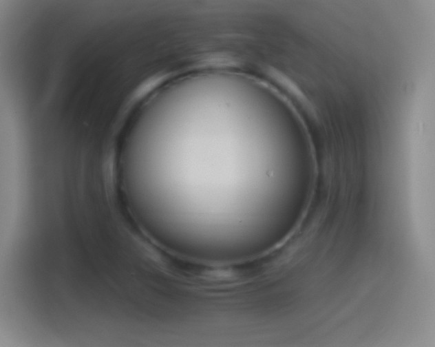 X0000114391315200910231009