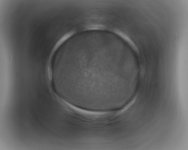 X0000114391317200910231009