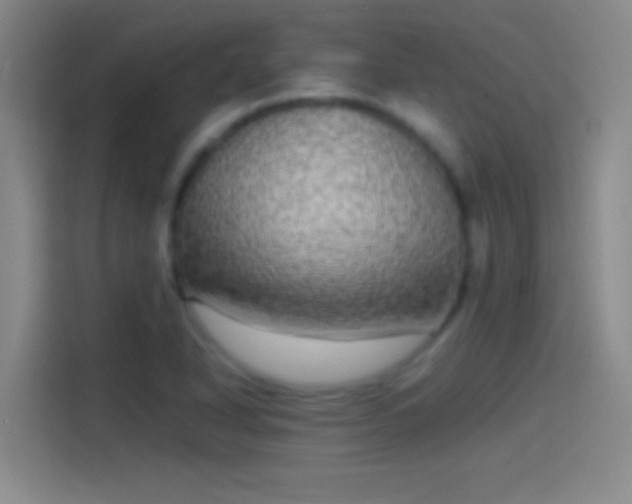 X0000114391318200910231009