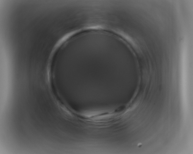 X0000114391319200910231009