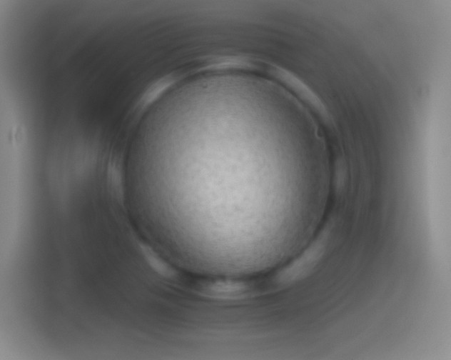 X0000114391321200910231009