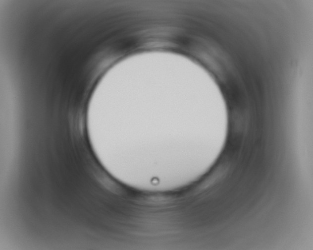 X0000114391322200910231009