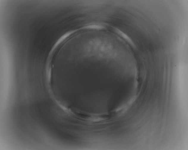 X0000114391323200910231009