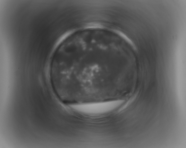 X0000114391325200910231009